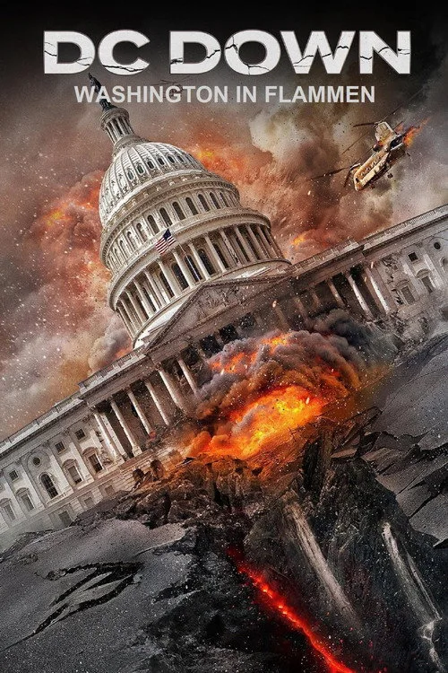 Poster: DC Down - Washington in Flammen