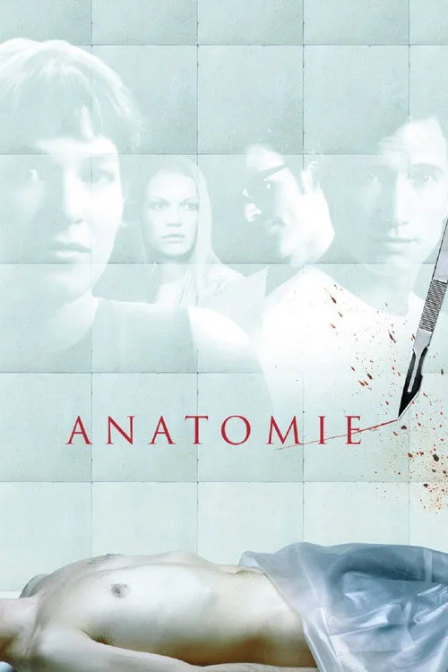 Poster: Anatomie