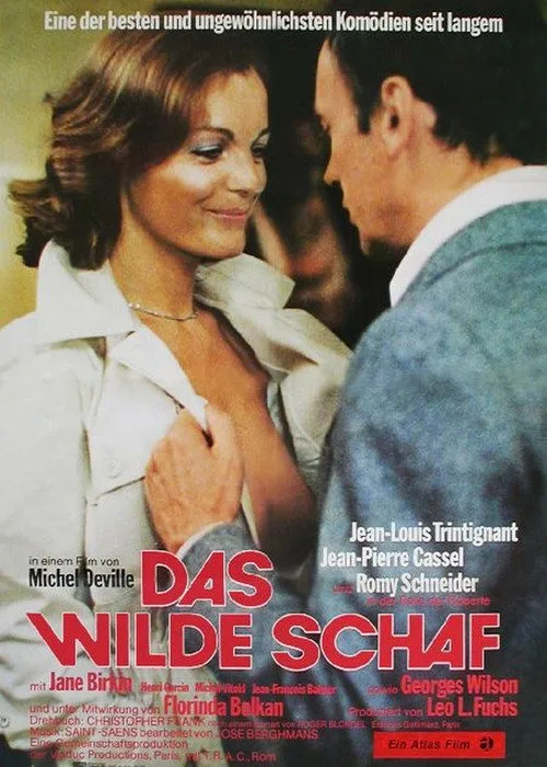 Poster: Das wilde Schaf